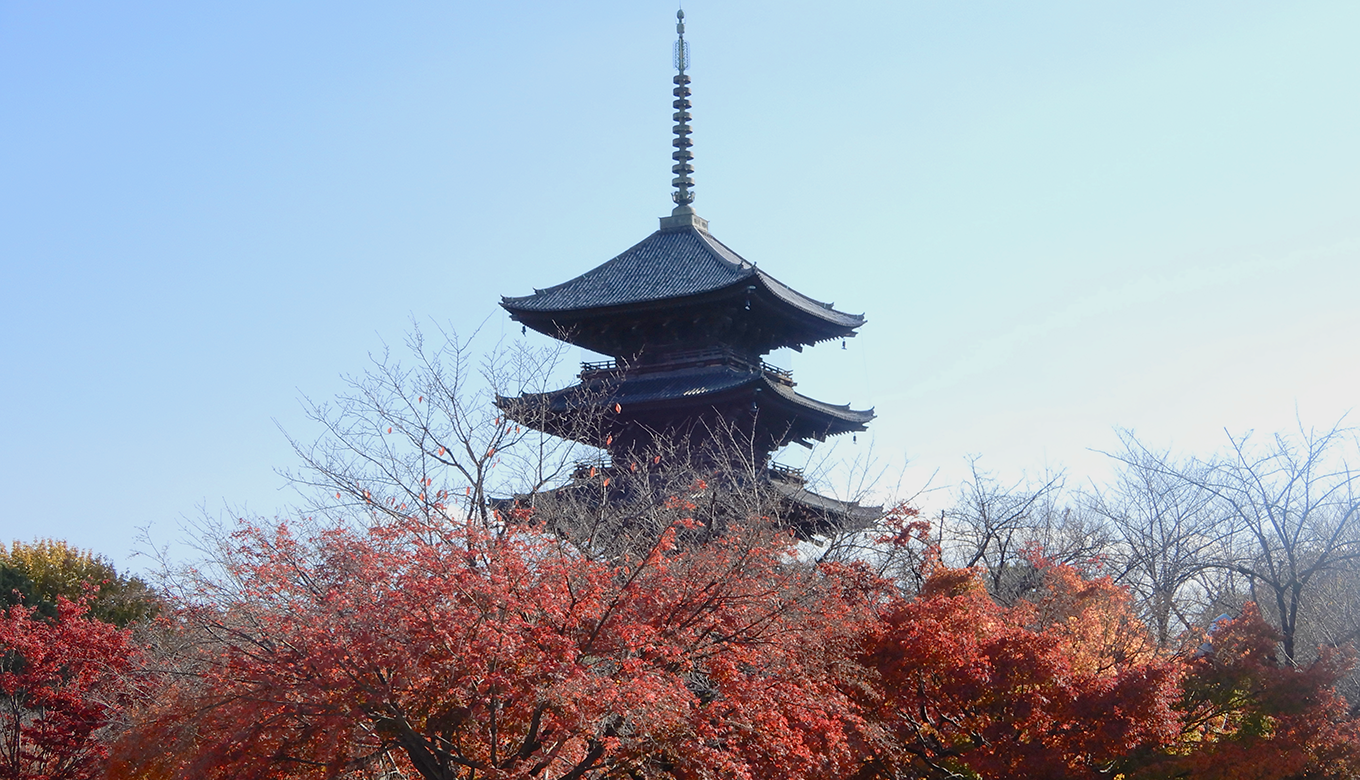 神だのみで100万円当てよう!! in京都【第4回 東寺】 | ねこ紳士